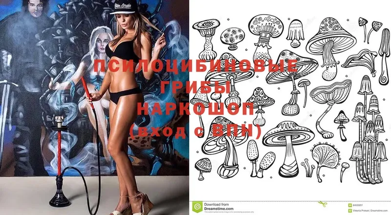 Псилоцибиновые грибы MAGIC MUSHROOMS  mega рабочий сайт  Сердобск 